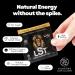 Stay Wyld Organics - Canadian Mushroom Blend Iced Mix Lion s Mane X Yerba Mat Sugar Free Drink For Focus and Vitality Sealable Pouch 30 Servings - Buy Online on GoSupps.com