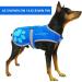 SafetyPUP XD Dog Safety Vest - Blue | Fits Dogs 14-130 lbs | X-Small to X-Small - Buy Online on GoSupps.com