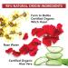 THAYERS Rose Petal Witch Hazel Facial Mist Toner - Alcohol-Free, 3oz (Pack of 1) - Buy Online on GoSupps.com