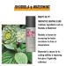 KMS Thermashape Straightening Blow Dry Cr me 5 oz | Smooth & Protect Your Hair - Buy Online on GoSupps.com