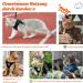 Supet Cat Dishes & Soft Vest with Leash for Kittens & Small Dogs - Orange (L 38-43 cm) - Buy Online on GoSupps.com