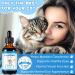Lysine for Cats Natural L-Lysine Supplement Supports Immune Health, Respiratory Function, Skin Care and Bright Eyes Cat Antibiotic Drops for All Ages and Breeds Chicken Flavour, 2 Fl Oz / 60ml - Buy Online on GoSupps.com