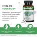 NutraMedix Magnesium Malate Capsules - Bone, Joint & Muscle Support - Enhanced Absorption for Energy - 120 Vegetarian Capsules - Buy Online on GoSupps.com