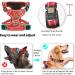 Heele Dog Harness - Adjustable Reflective Floral Red Running Harness for Dogs | Anti-Train Lockable Snap Lock Neck Open M Chest 38-71cm - Buy Online on GoSupps.com
