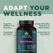 Ancient Nutrition Liver Detox Supplement with Milk Thistle & Dandelion Root - 60 Count - Buy Online on GoSupps.com