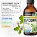 BIO KRAUTER Bacopa Monnieri - Liquid Drops Bacopa Extract (Brahmi Powder) 650 mg per Serving 4 Fl.Oz 56-Day Supply - Pure Vegan Brain Supplement Supports Calm Focus & Memory - Alcohol & Sugar Free 4 Fl Oz (Pack of 1) - Buy Online on GoSupps.com