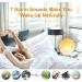 Daily Light Alarm Clock with Sunrise Sunset Simulation | 11 Color Settings & 7 Natural Sounds | Dual Alarm & Snooze for Adults & Kids - Buy Online on GoSupps.com
