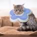 XINRUI 2 Pack Soft Cat Cone Collar Adjustable Soft Cone for Cats Recovery After Surgery Cute Protective Cat Recovery Collar for Kitten Puppies (Purple & Yellow) - Buy Online on GoSupps.com