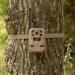 Moultrie Mobile Edge Cellular Trail Camera 2-Pack - Brown | High-Performance Wildlife Monitoring System - Buy Online on GoSupps.com