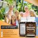 Vakasa Mushroom Gummies 10 Blend 2500mg Complex with Maitake Lions Mane Reishi Cordyceps Chaga Turkey Tail - Brain Booster, Focus, Immune Support, Energy - 60 Gummies - Buy Online on GoSupps.com