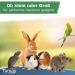 Buy Tamy Rodent Mats - 100% Hemp Dust-Free Cage Floor for Rabbits & Guinea Pigs | 100x50cm Premium Bodee Carpet (5 Pack) - Buy Online on GoSupps.com