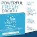 Buy Viter Energy Caffeinated Gum - 60mg Caffeine & B Vitamins - Sugar Free Wintergreen - 12pcs x 6 Packs - Boost Energy Anytime - Buy Online on GoSupps.com