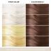 Hair Dye Shampoo for Gray Coverage - 3 in 1 Natural Hair Color Shampoo (Dark Brown) - 16.9 Fl Oz for Men & Women - Buy Online on GoSupps.com