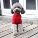 HRTTSY Christmas Dog Sweater | Cartoon Reindeer Winter Knitwear for Pets | Warm Cat Clothes S - Perfect Holiday Gift - Buy Online on GoSupps.com