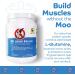 No Udder Protein Dairy Free Vegan Soy Free Protein Powder  Vanilla Delight - Buy Online on GoSupps.com