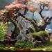 Ctpeng Aquarium Hole Decor - Art Deco Style for Stunning Aquascapes | International Shipping Available - Buy Online on GoSupps.com