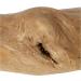 goodWood Chewable Wood Stick For Dogs - Medium - Buy Online on GoSupps.com