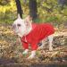 Buy Minezi Hundred Coat - Reflective Buttons Wind & Rainproof Adjustable Cord Removable Hood - Red - Size M (Breast Size: 49-58cm) - International Shipping Available - Buy Online on GoSupps.com