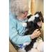 Memorable Pets Cat Plush Therapy Toy - Black & White - Ideal for Seniors with Memory Loss - Buy Online on GoSupps.com