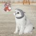 WeiLaiKeQi Cat Mouth Mask Cat Mouth Muzzle Lightweight Multifunction Cat Grooming Tool Pet Supplies Kitten Mask Cat Face S - Buy Online on GoSupps.com