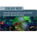 GloFish 4-mode Cycle Light for 20 Gallon Interactive Aquariums - Buy Online on GoSupps.com
