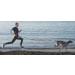 I-DOG Zugleine CanicRoss One - Premium Dog Leash for Safe International Walks - Buy Online on GoSupps.com
