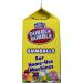 Dubble Bubble Gumballs Machine Size Refills 12 oz. Carton by Concord Confections - Buy Online on GoSupps.com
