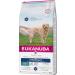 Eukanuba Adult Daily Care Overweight or Sterilized Adult Dogs For All Breeds Chicken 12kg - Buy Online on GoSupps.com