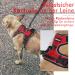 Rabbitgoo No Pull Dog Harness for Small Dogs - Adjustable Breathable Safe & Comfortable - Control & Guide - Red XS (1 Pack) - Buy Online on GoSupps.com
