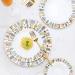 Dinner Plates 8 Piece Porcelain Dinnerware Set Creative Hand-Painted Dinner Plate Sets Home Kitchen Ceramic Dish for Steak Spaghetti Waffle Salad Plates Kitchenware (Size : 8 Pieces) - Buy Online on GoSupps.com