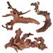 majoywoo Natural Coral Driftwood for Aquarium Decor Fish Tank Decorations, Assorted Driftwood Branch 6-10" 3 Pcs, Reptile Decor 6 to 10 Inch (Pack of 3)