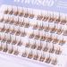 Brown Lash Clusters - Natural Wispy Extensions 8-12MM | DIY Eyelash for Beginners - Buy Online on GoSupps.com