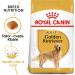 Royal Canin Dog Food Golden Retriever 25 Dry Mix 3kg - Buy Online on GoSupps.com