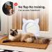 Miyabing Cat Door Interior Door  Pet Door Gate Hole Pass Through for Dogs Kitty Kittens  Easy to Install White - Buy Online on GoSupps.com