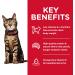 Hill's Science Diet Adult Light Cat Food 7 lb - Chicken Recipe for Weight Management - Buy Online on GoSupps.com