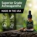 BIOACTIVE Liquid Ashwagandha Supplement Drops - Testosterone Booster For Men* - Adaptogen for Stress Support Men s Wellness - Organic Vegetarian Gluten Free Non-GMO 59 Servings (1 Oz Unflavored) Unflavoured 1 Fl Oz (P  - Buy Online on GoSupps.com