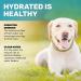 Scuddles Large Dog Water Fountain - Activated Sprinkler Dispenser for Small to Medium Pets - Dog Toy Bowl Alternative - Buy Online on GoSupps.com