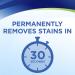 Bissell Woolite INSTAclean Pet Stain Remover (2 pack) - Effective & Permanent Solution - Buy Online on GoSupps.com