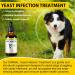 Natural Yeast Infection Drops for Dogs - Itch, Ear Infection, Allergy Relief - Herbal Bacon Flavor - 2 Fl Oz - Buy Online on GoSupps.com