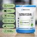 100% Pure Creatine Monohydrate Powder 500g - High Dose Vegan Tasteless - Bios Nutrition (Made in Germany) | Fast International Shipping - Buy Online on GoSupps.com