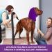 cobee Dog Snood for Dog Neck and Ear Warmer Dog Snood Dog Neck and Ears Warmer Dog Neck Ear Warmer Hood Pet Dog Earmuff for Wearing in Bathing Grooming Waterproof Reducing Noise Helps Calm(Purple M) Purple M Size - Buy Online on GoSupps.com