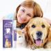 2Pcs Pet Oral Repair Gel 20g Pet Oral Repair Gel for Dogs Cats Pet Mint Breath Freshener Tooth Pen Removing Tartar Pet Toothpaste for Dog Cat - Buy Online on GoSupps.com