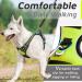 Buy Eagloo Medium Dog Harness - Adjustable Durable Anti- Pull with Reflex Strips for Walking & Jogging - Green M (1 Pack) - International Shipping Available - Buy Online on GoSupps.com