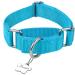 Adjustable Martingale Dog Collar - Durable No Escape Nylon for Medium Large & Small Dogs (Turquoise L 42cm-66cm) - Buy Online on GoSupps.com