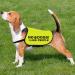 No Dogs/No People Dog Jacket Vest Give Me Space Walking Slogan Warning Vest (No dogs Large) No dogs L EU - Buy Online on GoSupps.com