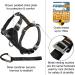 Kurgo Enhanced Strength Tru-Fit Smart Harness for Dogs - Large, Ink Blue - Buy Online on GoSupps.com