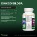 Vitanergy Ginkgo Biloba Enhanced Bioavailability for Cognitive Function & Peripheral Circulation Support 60mg 60 Capsules - Canadian Made - Buy Online on GoSupps.com