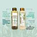 ANYELUZ Rosemary Shampoo & Conditioner Set | Hydrating Hyaluronic Acid & Natural Extracts for All Hair Types - Enhances Shine - Buy Online on GoSupps.com