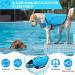 Alagirls Dog Life Jacket - Small & Medium Rip-Stop Safety Vest with Rescue Handle | Blue (Chest 47-61 cm) - Buy Online on GoSupps.com