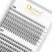 240Pcs Cluster Individual Lashes 10D+20D D Curl Mix 8-14mm + Tweezers - False Eyelashes Kit - Buy Online on GoSupps.com